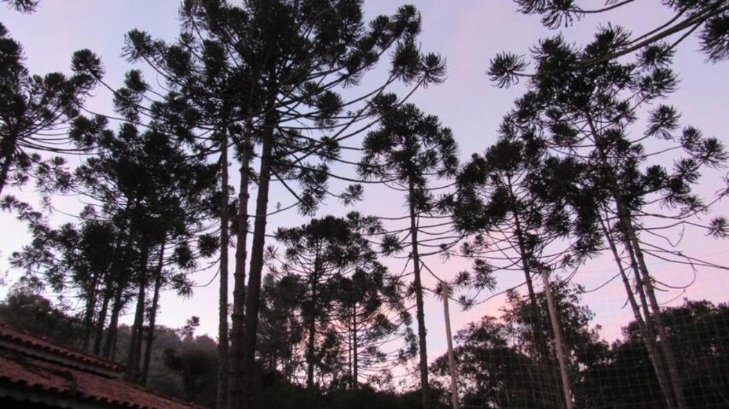Vila Chacara Capucho & Macedo Cunha Exteriér fotografie